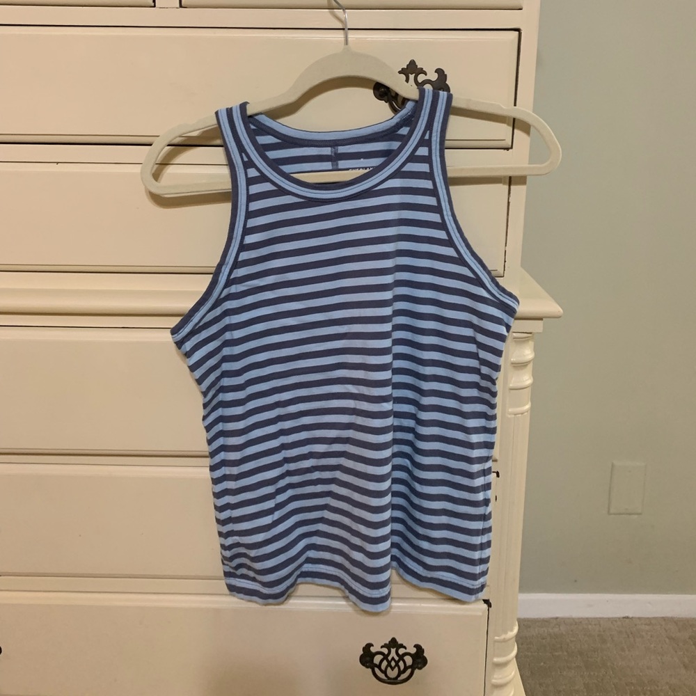 Everlane Blue Striped Tank Top